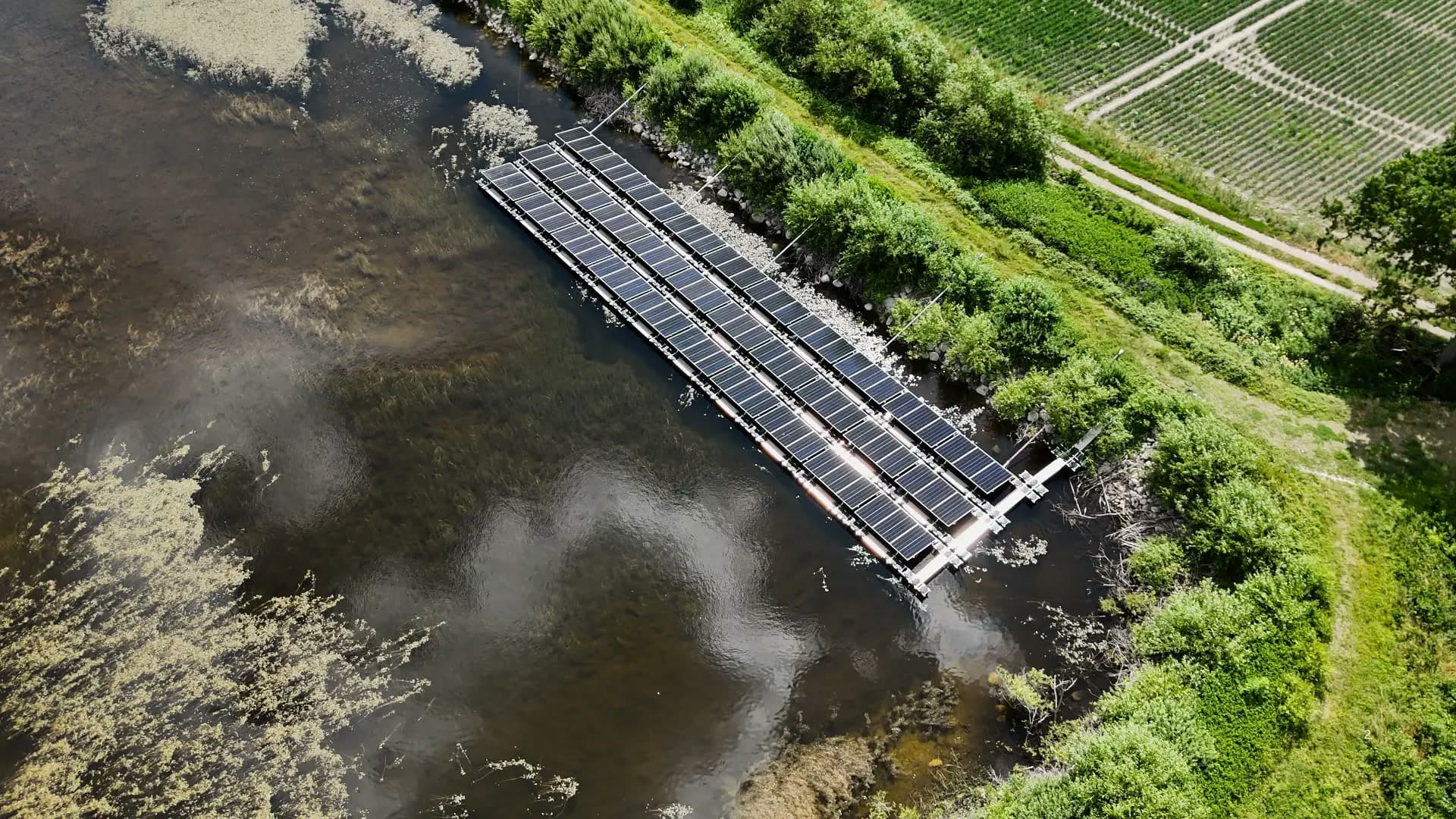 Flytande solpark med rader av solpaneler längs strandkanten i en damm, sett snett ovanifrån
